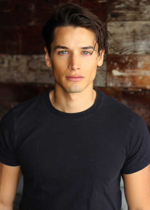 Andrew Gray