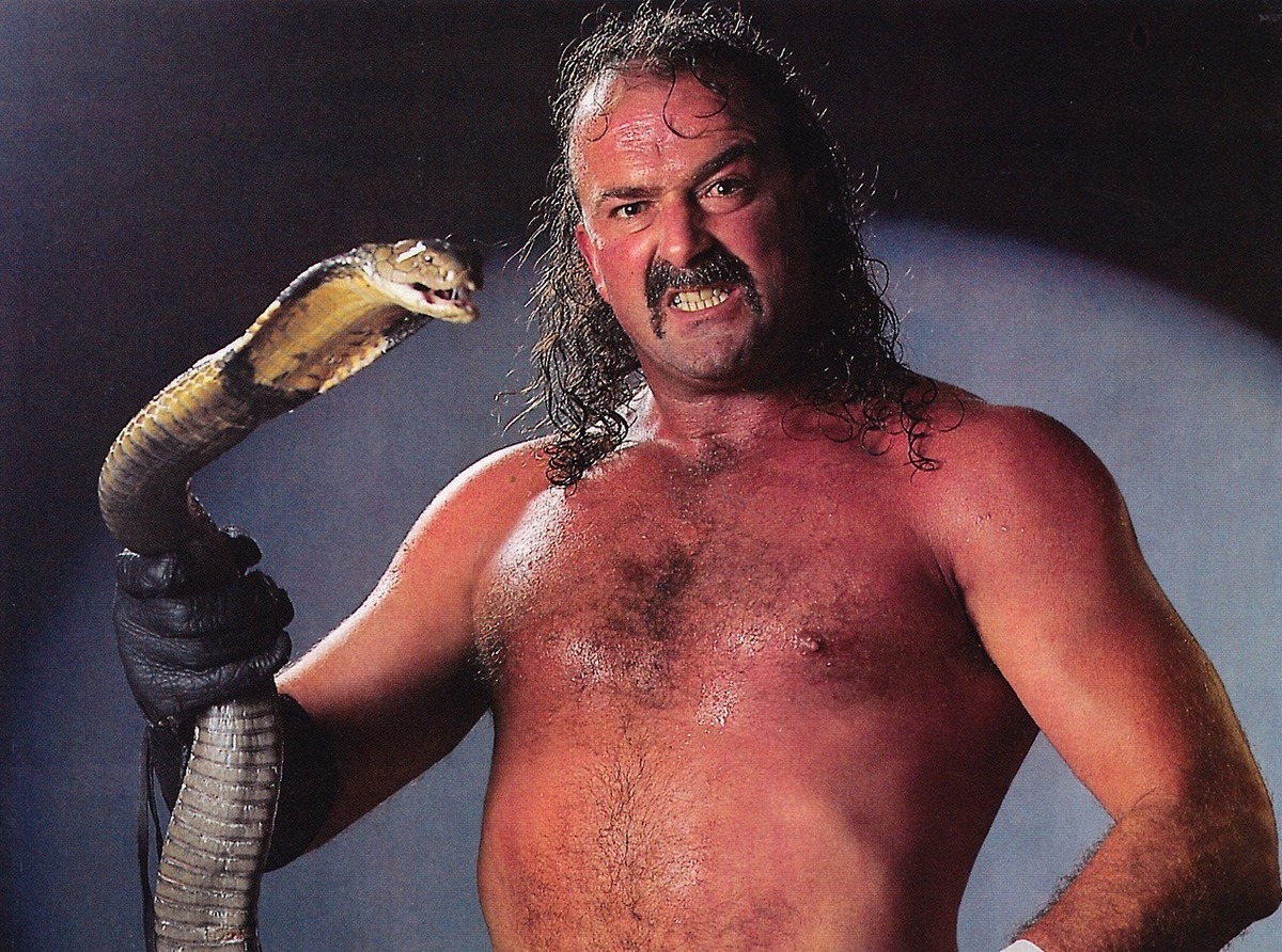 Jake 'The Snake' Roberts