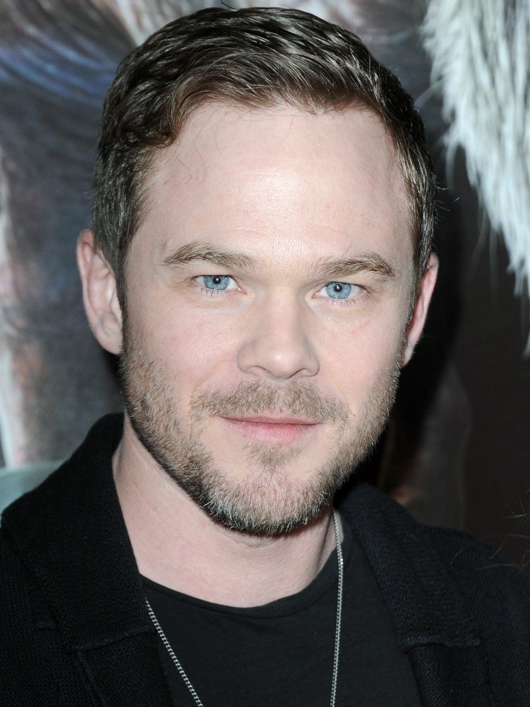 Shawn Ashmore
