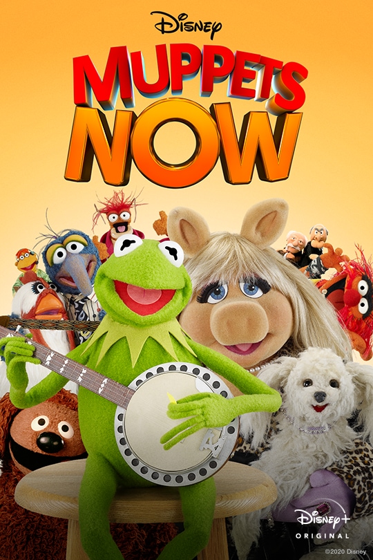 Ecco i Muppet