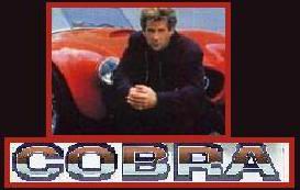 Cobra Investigazioni