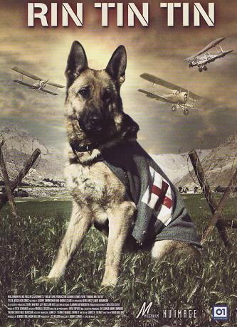 Rin Tin Tin (2007)