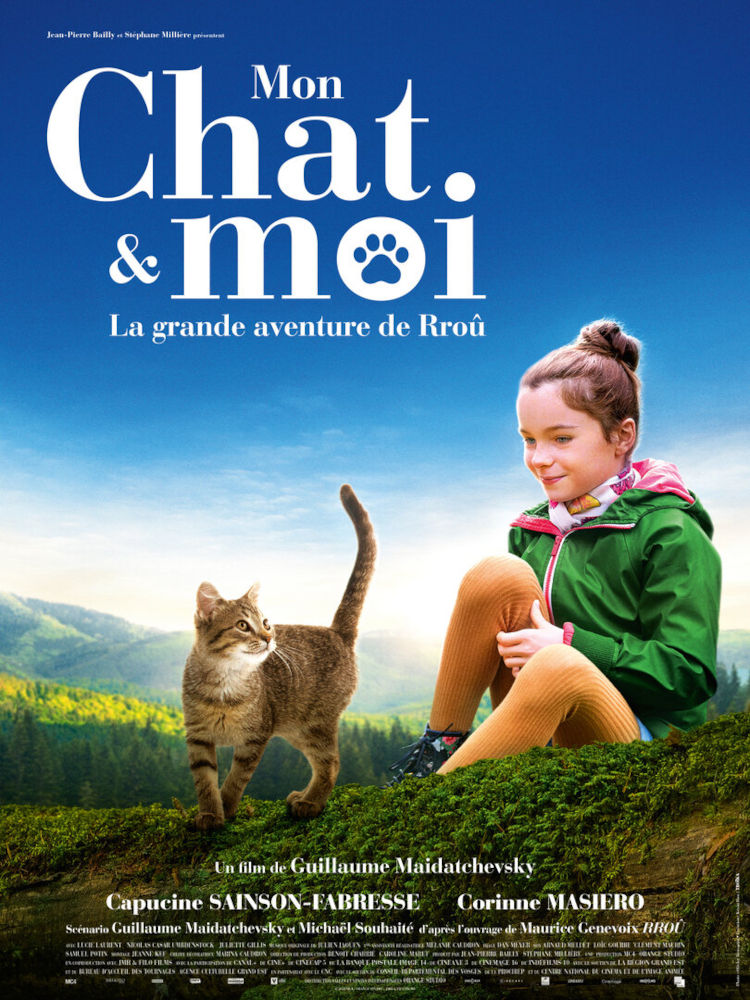 Vita da gatto (2023)