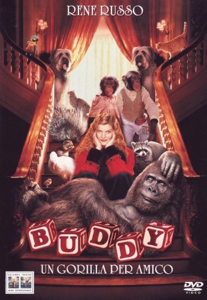 Buddy, un gorilla per amico