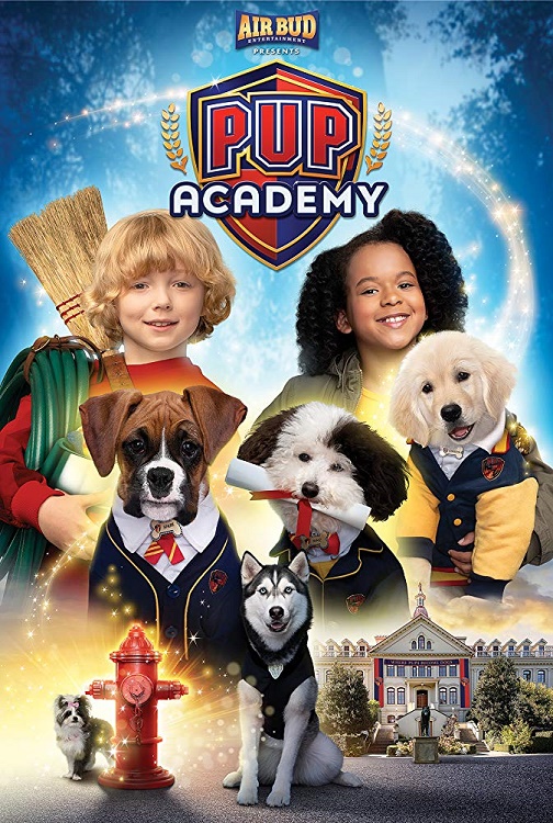L'Accademia dei Cuccioli