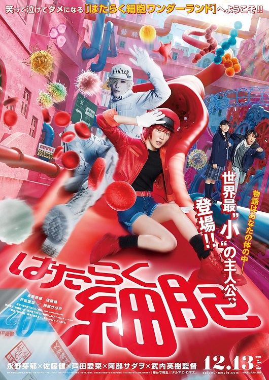 Cells at Work! Lavori in corpo (live action)