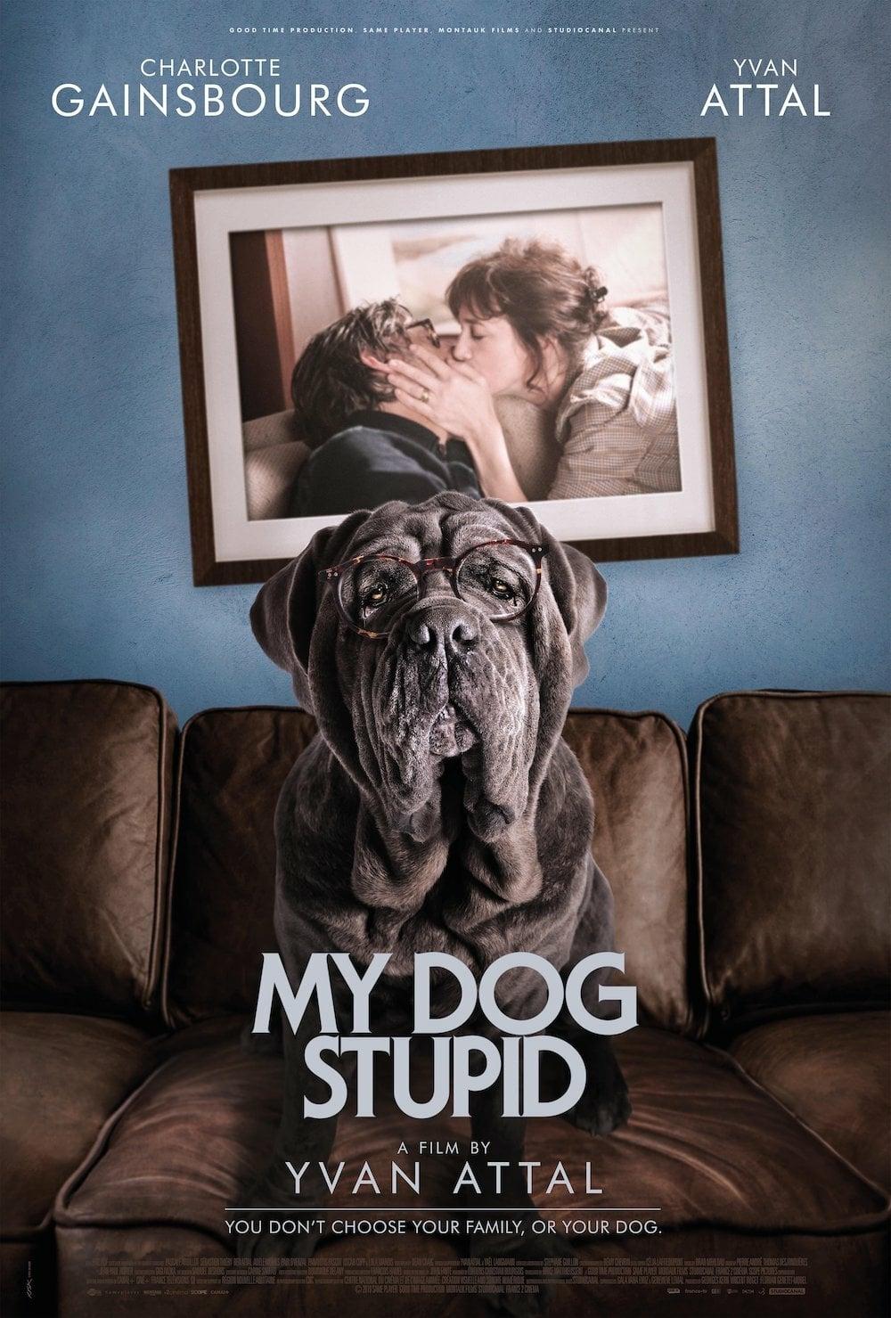 My dog stupid - Il mio cane stupido