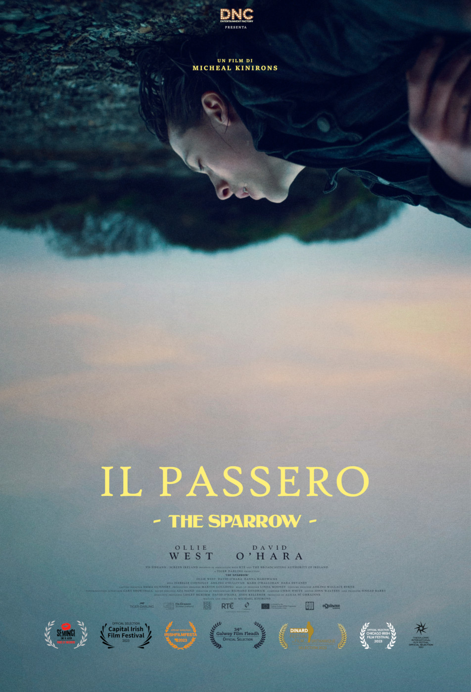 Il passero - The Sparrow