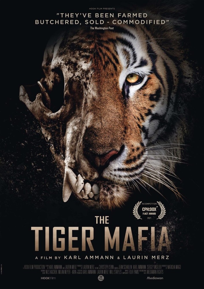 The Tiger Mafia