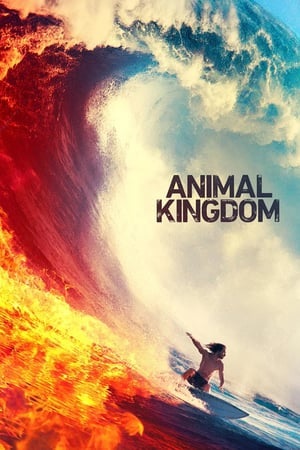 Animal Kingdom (TV 2016)