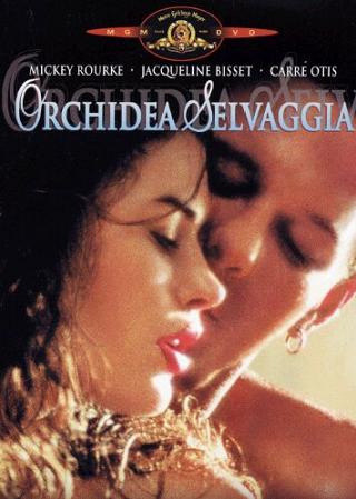 Orchidea selvaggia