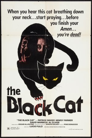 Black Cat (Gatto nero)