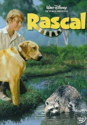 Rascal, l'orsetto lavatore