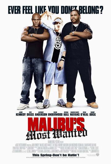 Rapimento a Malibu