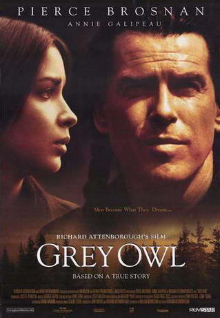 Grey Owl - Gufo Grigio