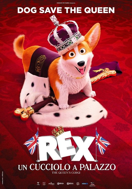 Rex, un cucciolo a palazzo