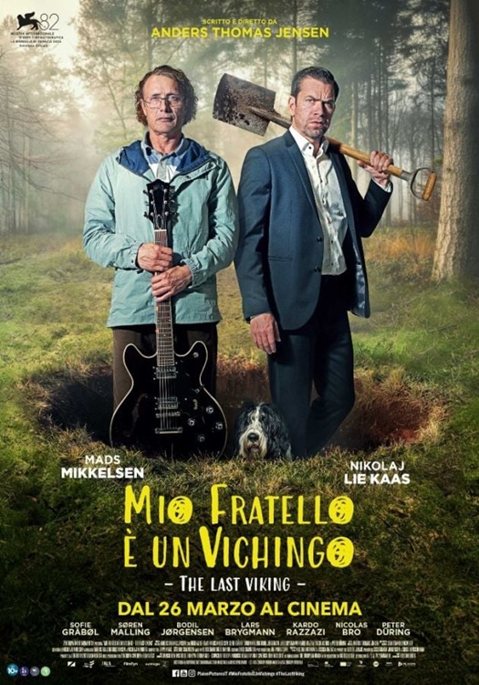 Mio fratello è un vichingo