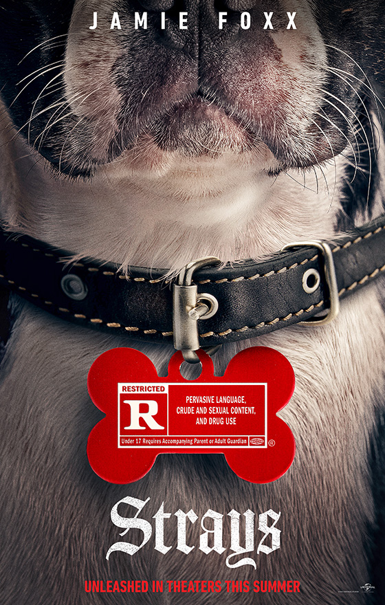 Doggy Style - Quei bravi randagi