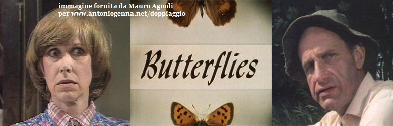 Butterflies
