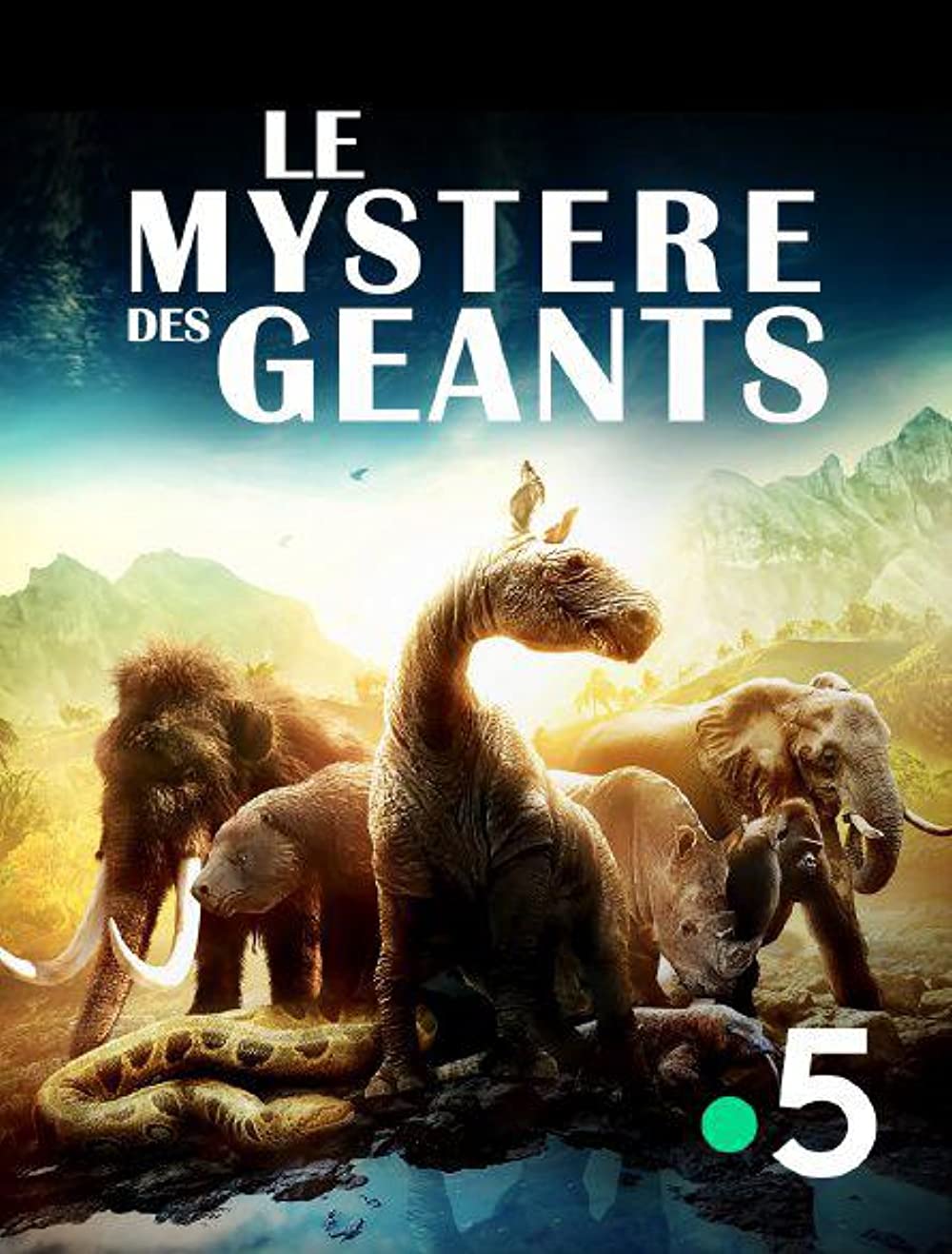 Mystery of the giants