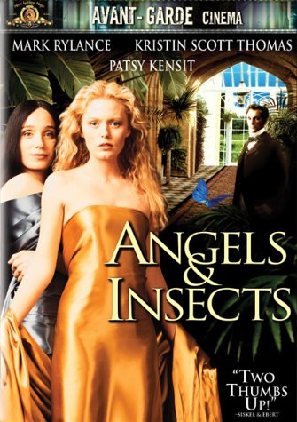 Angeli e insetti