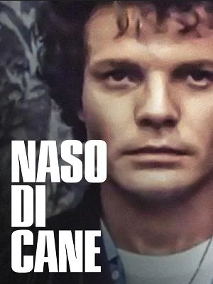 Naso di cane