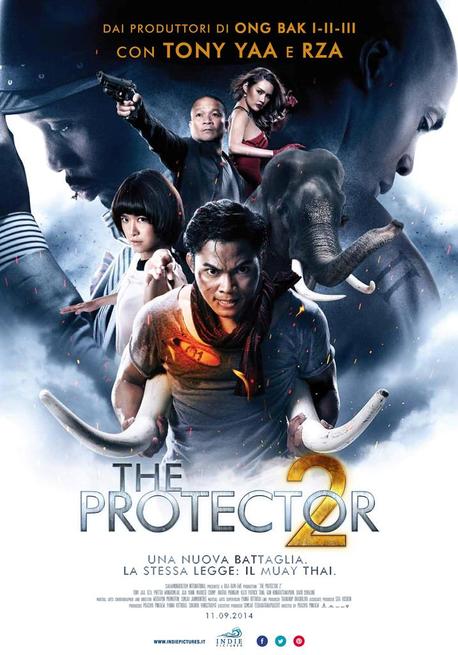 The Protector 2
