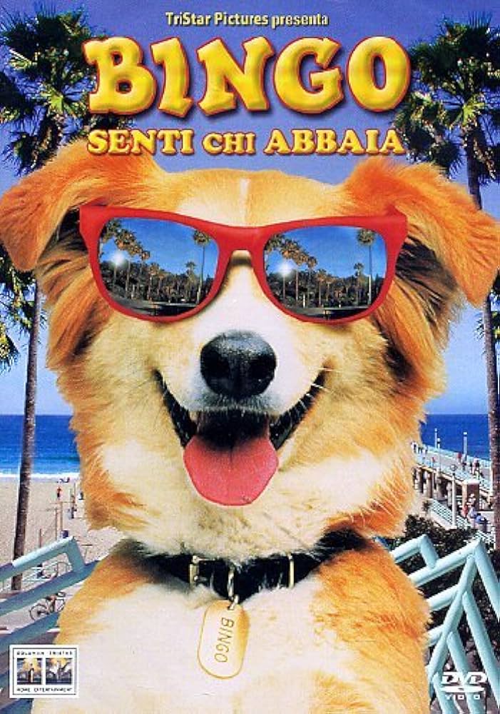 Bingo - Senti chi abbaia