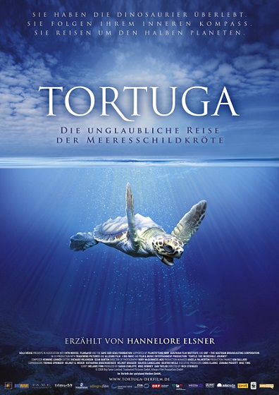 L'incredibile viaggio della tartaruga
