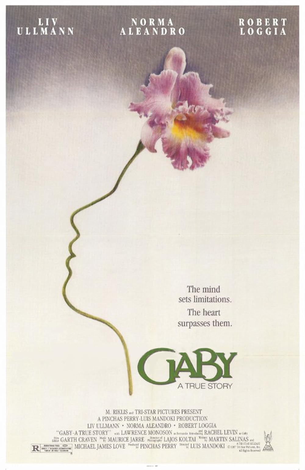 Gaby - Una storia vera