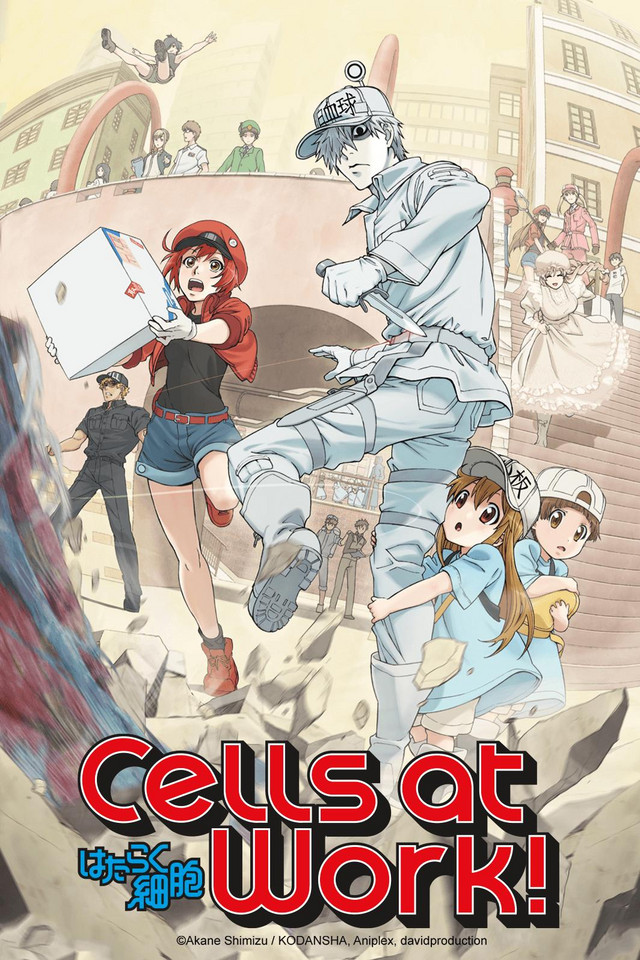 Cells at Work! Lavori in corpo