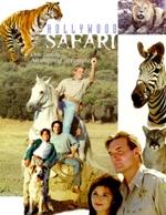 Hollywood Safari