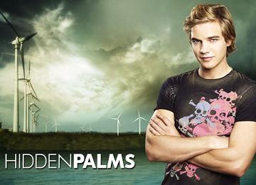 Hidden Palms