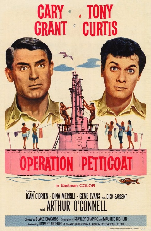 Operazione sottoveste