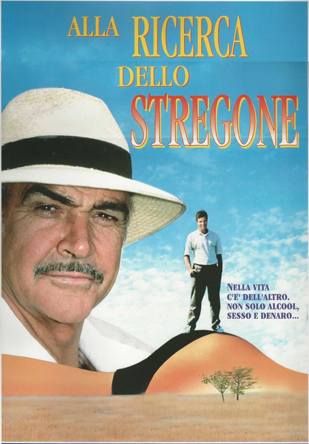 Alla ricerca dello stregone