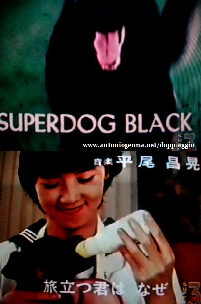 Superdog Black