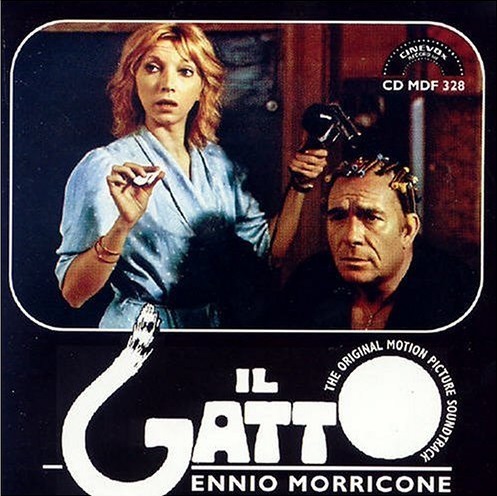Il Gatto