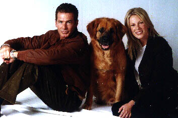 Tequila & Bonetti (2001)