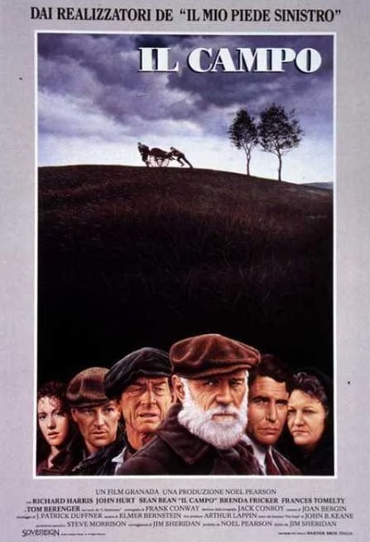 Il campo