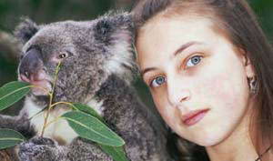 Lasciate in pace i koala