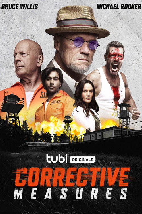 Corrective Measures